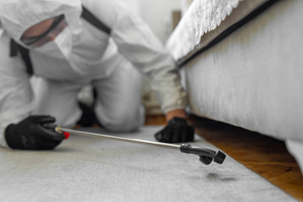 Professional Bed Bug Control technician working in Carlyle, IL
