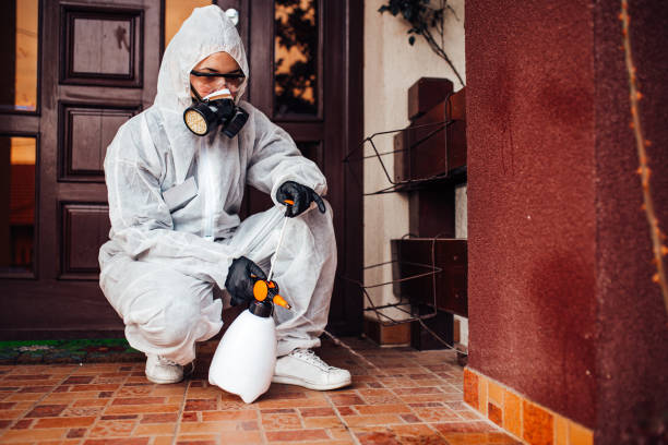 Reliable Bed Bug Control contractor in Carlyle, IL by Nex Pest Control
